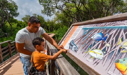 /clients/Rif-Mangrove-Park/Rif-Mangrove-3.jpg